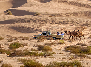 جوهرة رمال الشرقية